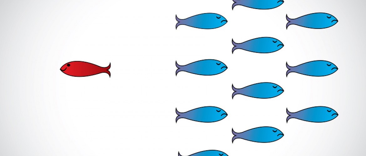 ISO 17024 Standards for Training System Accreditation